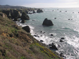 Sonoma Coast