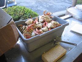 Cooked crabs ready to eat at Tony's Seafood