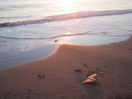 Santa Barbara beach