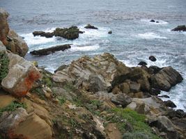 me scrambling on the rocks at Timber Cove, by Joy