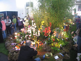 San Francisco orchid exposition