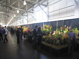 San Francisco orchid exposition