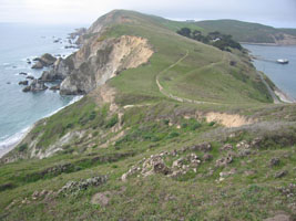 Pt Reyes