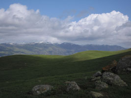 distant snowy hills