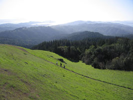 three tiny hikers