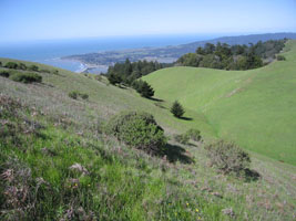 stinson beach overlook