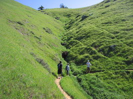 on the trail