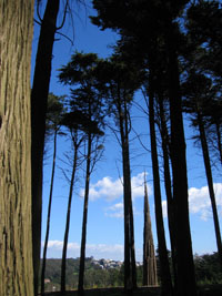 goldsworthy spire, by Joy