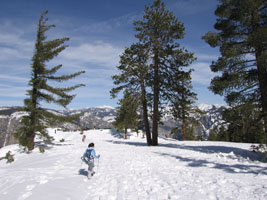 Approaching Dewey Point