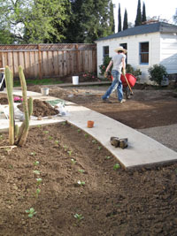 preparing the yard for planting