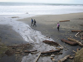 mcclures beach, point reyes