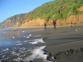 late sun at mcclures beach - by joy