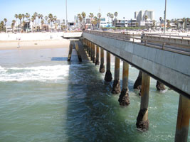 venice beach