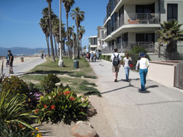 venice beach