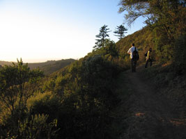 hiking Purisima Creek