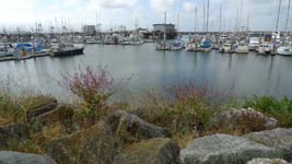 boats at Half Moon Bay