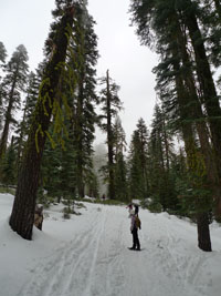 on the snowshoe trail