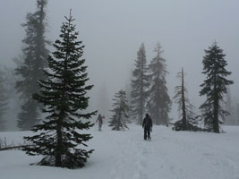 walking into ice fog