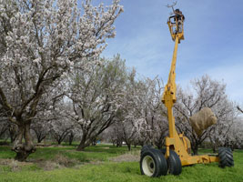 lift for tree work