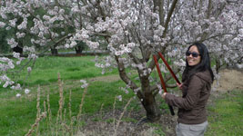 joy with pruners