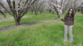 cut branches to take home