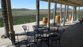 a vineyard in Temecula