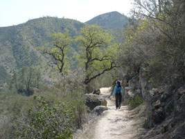 Joy hiking