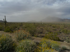 picacho peak park, arizona