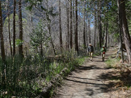 hiking in yosemite valley