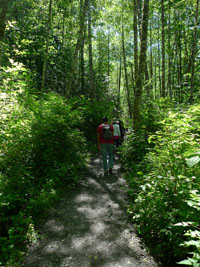 hiking near seattle