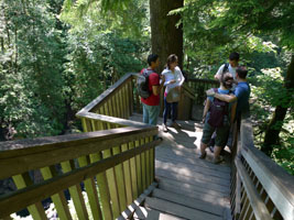 waterfall overlook