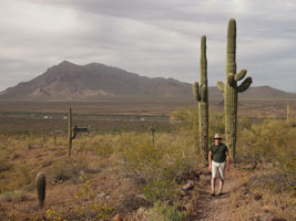 hiking at picacho peak