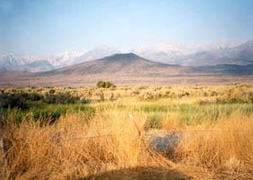 mountain vista from camp