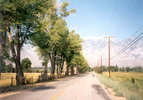 Pine Creek road