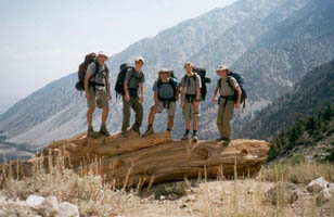 all of us on a log