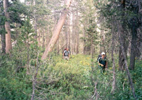 bushwacking to our lake