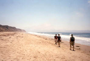 on the beach