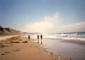 on the beach