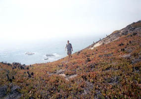 Doug on the ice plants