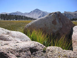 sierra meadow