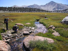 sierra meadow