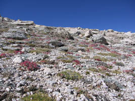 climbing mt Langley