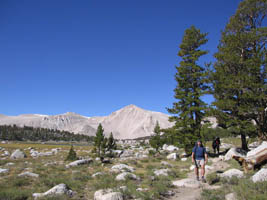 sierra meadow