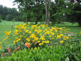 flowers with swing