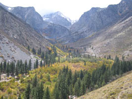 Big Pine Creek, South Fork fall color