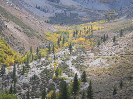 Big Pine Creek, South Fork fall color