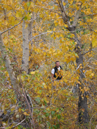 Sean in the aspens