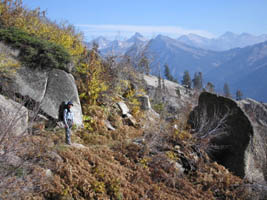 Joy at Panther Gap, Sequoia National Park