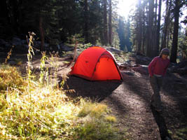 morning sunshine on the tent