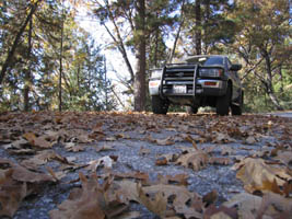 Steve's 4Runner with fallen leaves